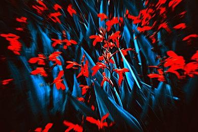 EA确认《滑板4》也会登陆PC平台发售