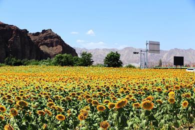 《乐高地平线大冒险》开发完成 开始送厂压盘